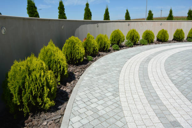 Best Affordable Driveway Pavers  in Uvalde, TX